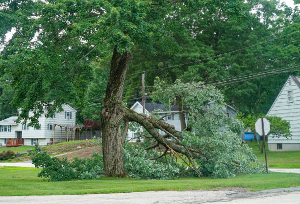 Seasonal Cleanup (Spring/Fall) in Jacobus, PA